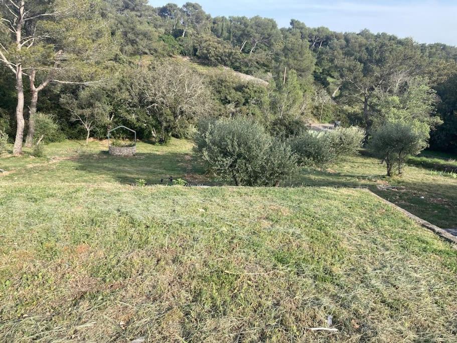 Magnifique Villa De Luxe Au Coeur De La Garrigue Nimes Exterior foto